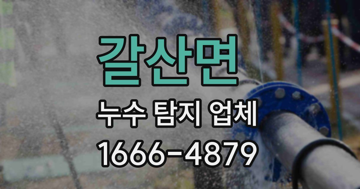 갈산면 누수 탐지 업체
