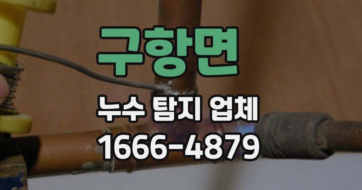 구항면 누수 탐지 업체