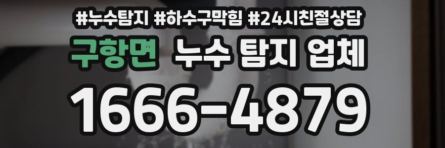 구항면 누수 탐지 업체