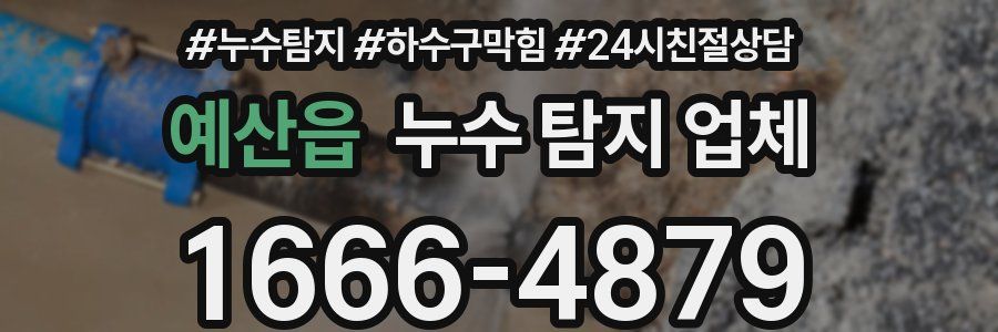 예산읍 누수 탐지 업체