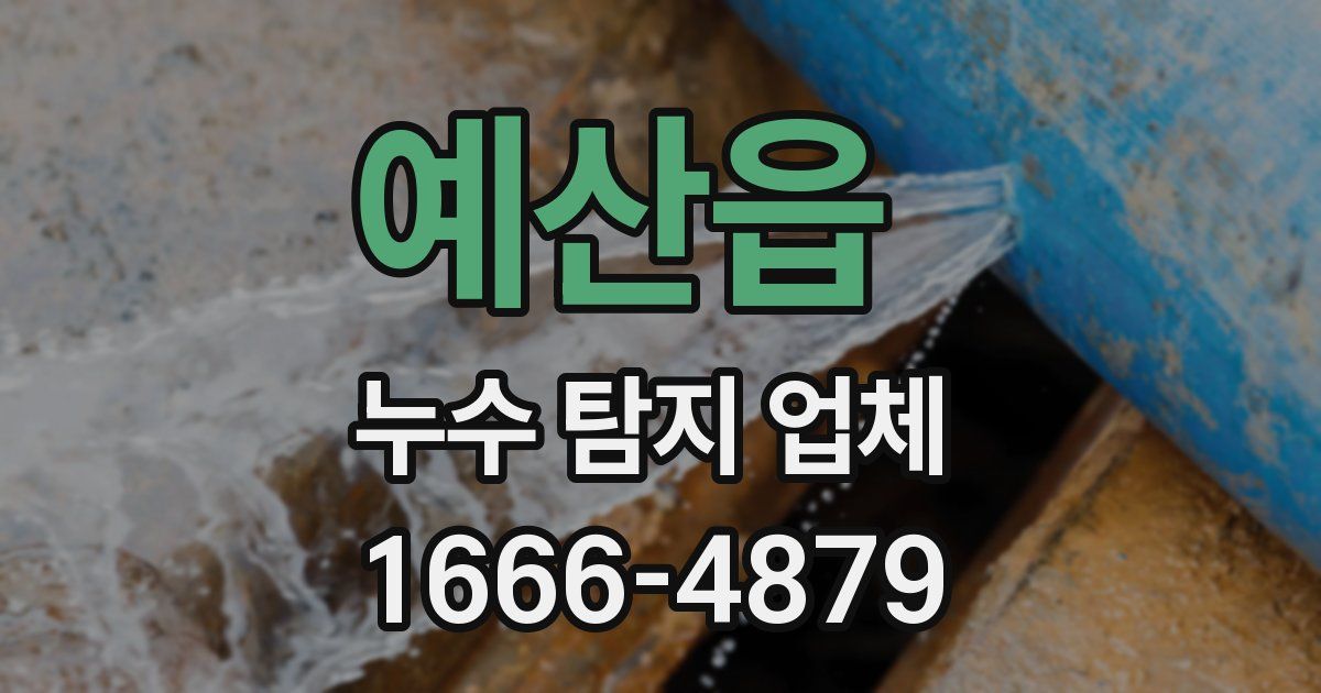 예산읍 누수 탐지 업체