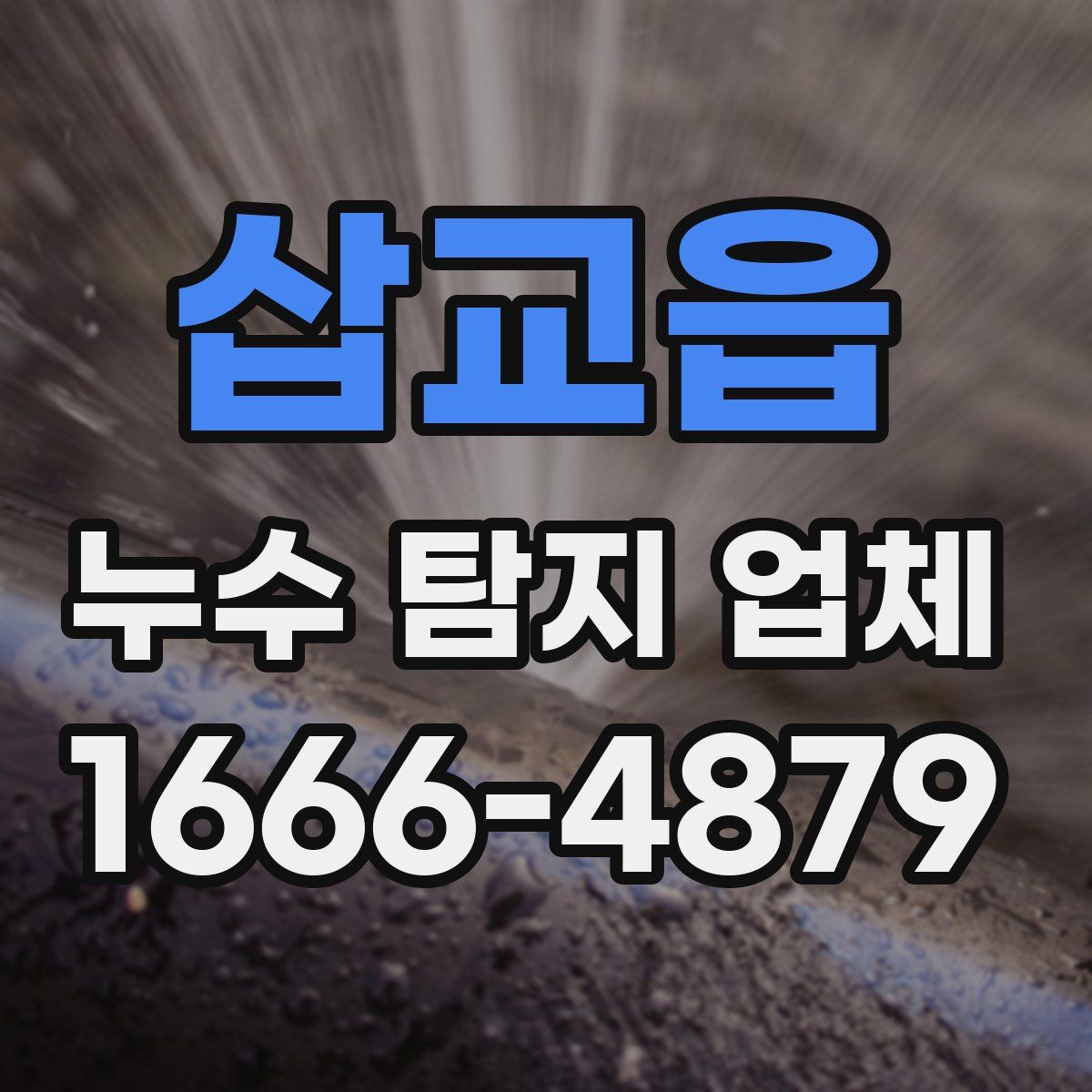 삽교읍 누수 탐지 업체