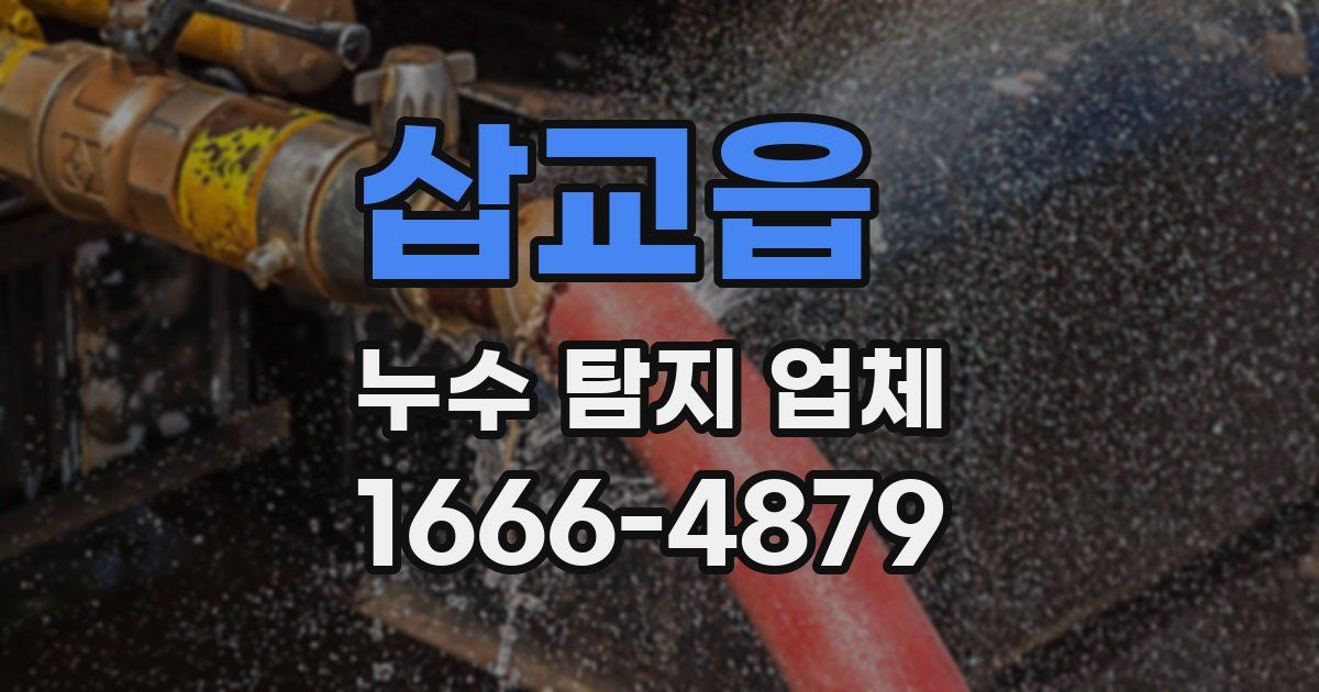 삽교읍 누수 탐지 업체
