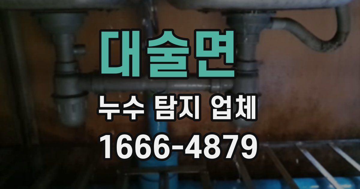 대술면 누수 탐지 업체