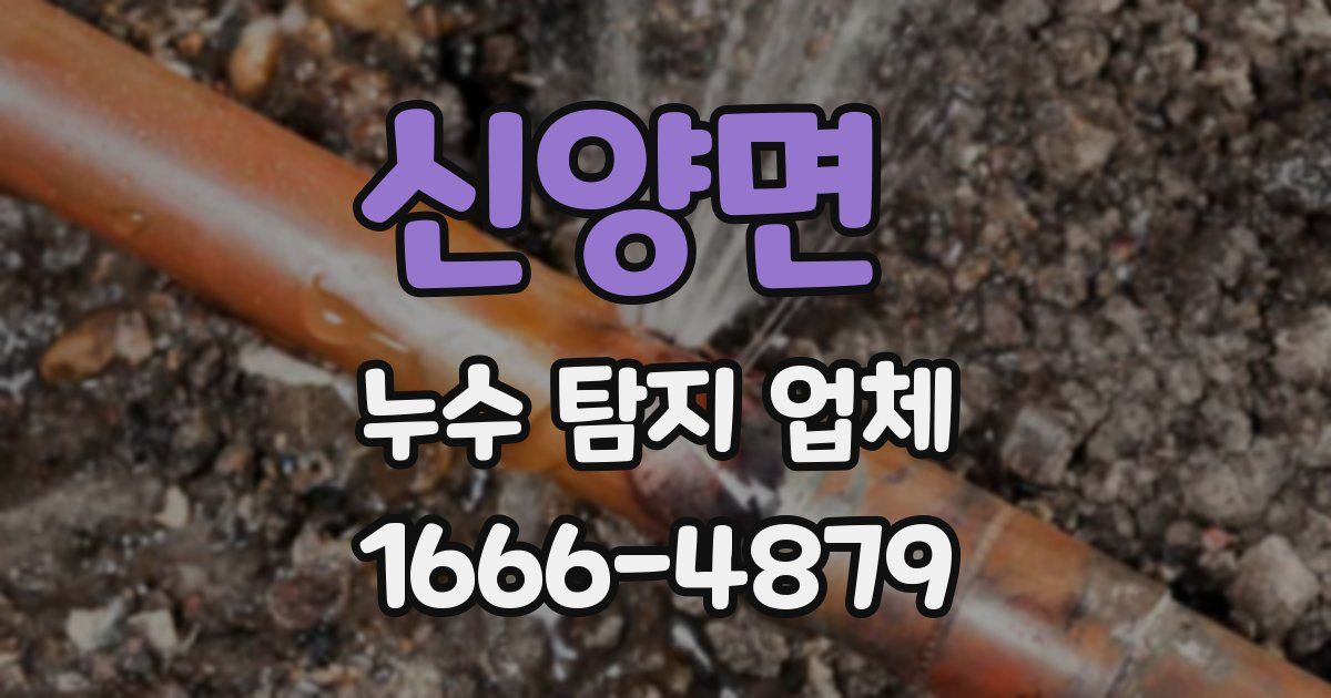 신양면 누수 탐지 업체