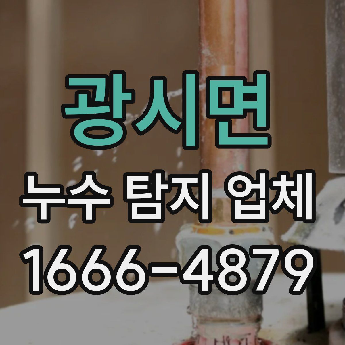 광시면 누수 탐지 업체