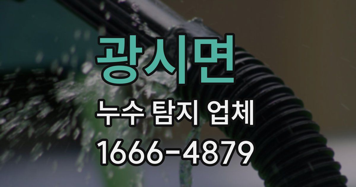 광시면 누수 탐지 업체