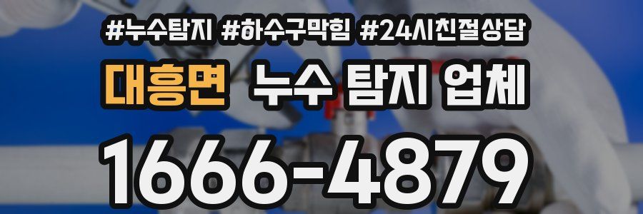 대흥면 누수 탐지 업체