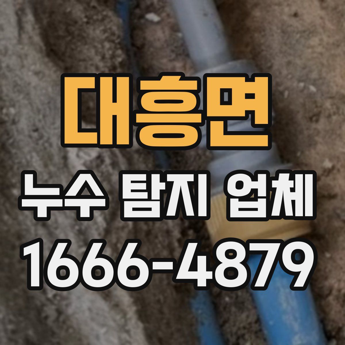 대흥면 누수 탐지 업체