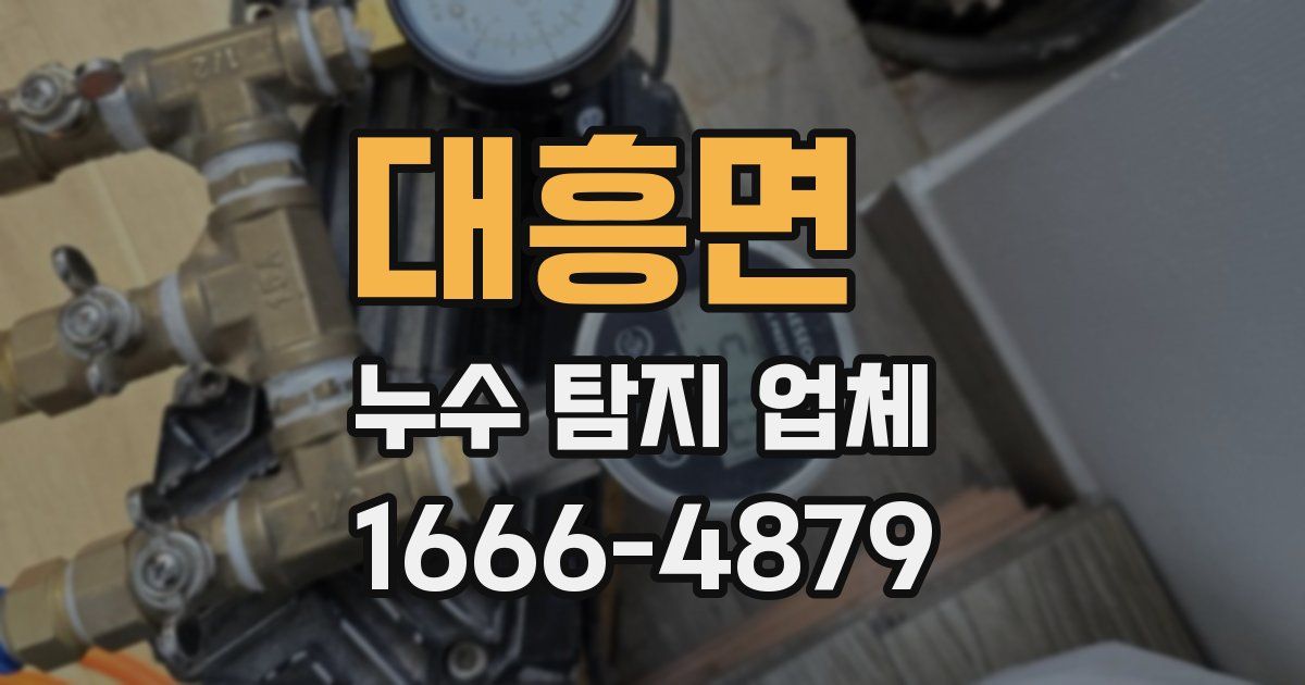 대흥면 누수 탐지 업체