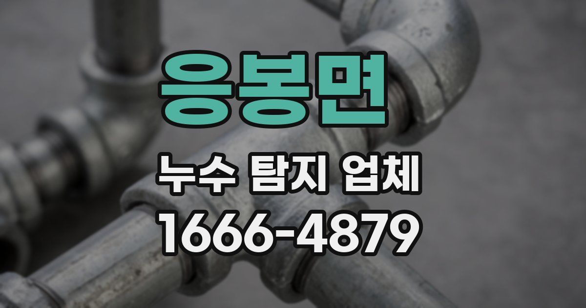 응봉면 누수 탐지 업체