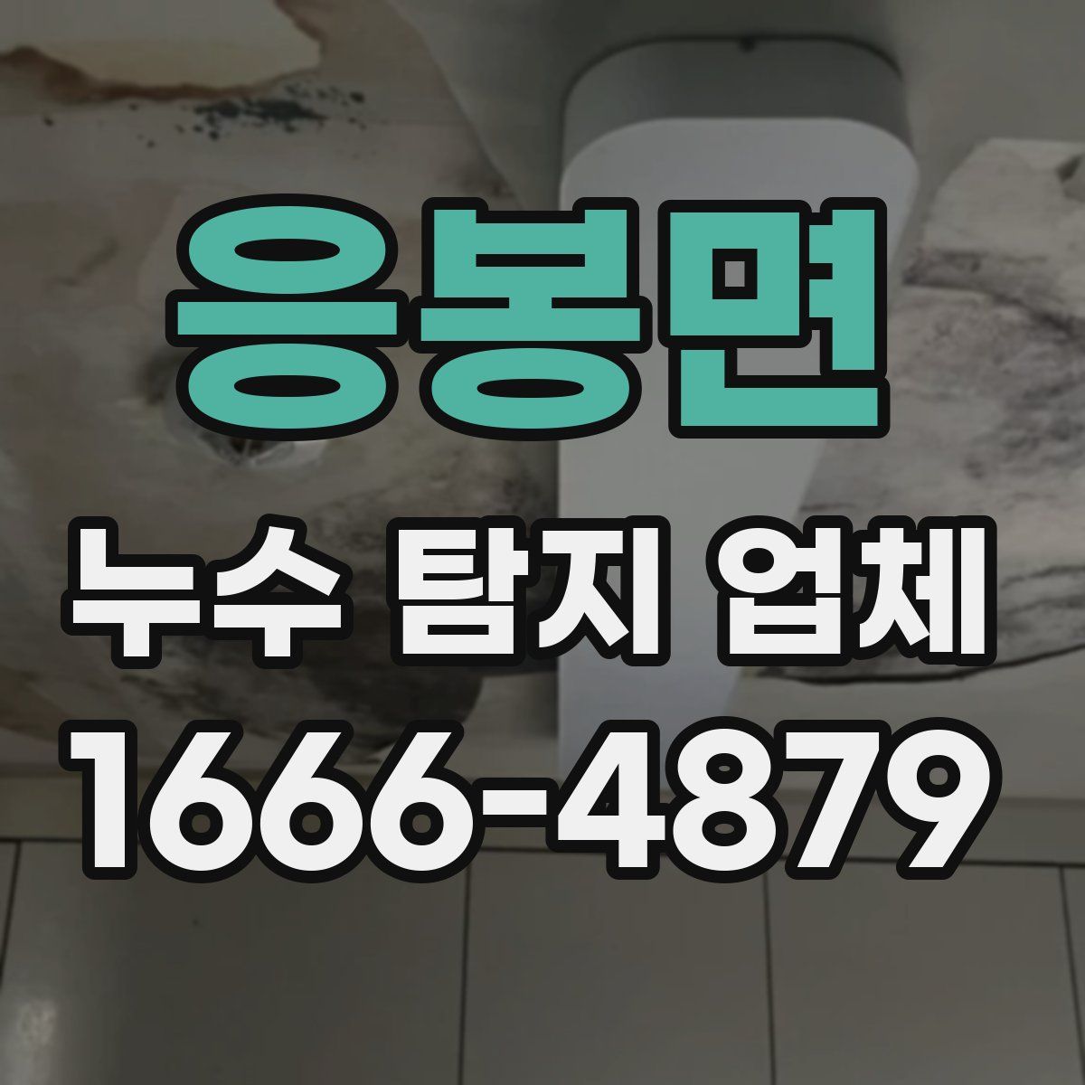 응봉면 누수 탐지 업체