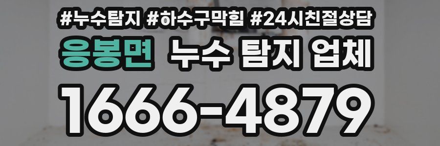 응봉면 누수 탐지 업체
