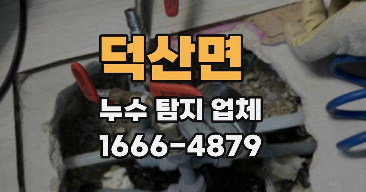 덕산면 누수 탐지 업체