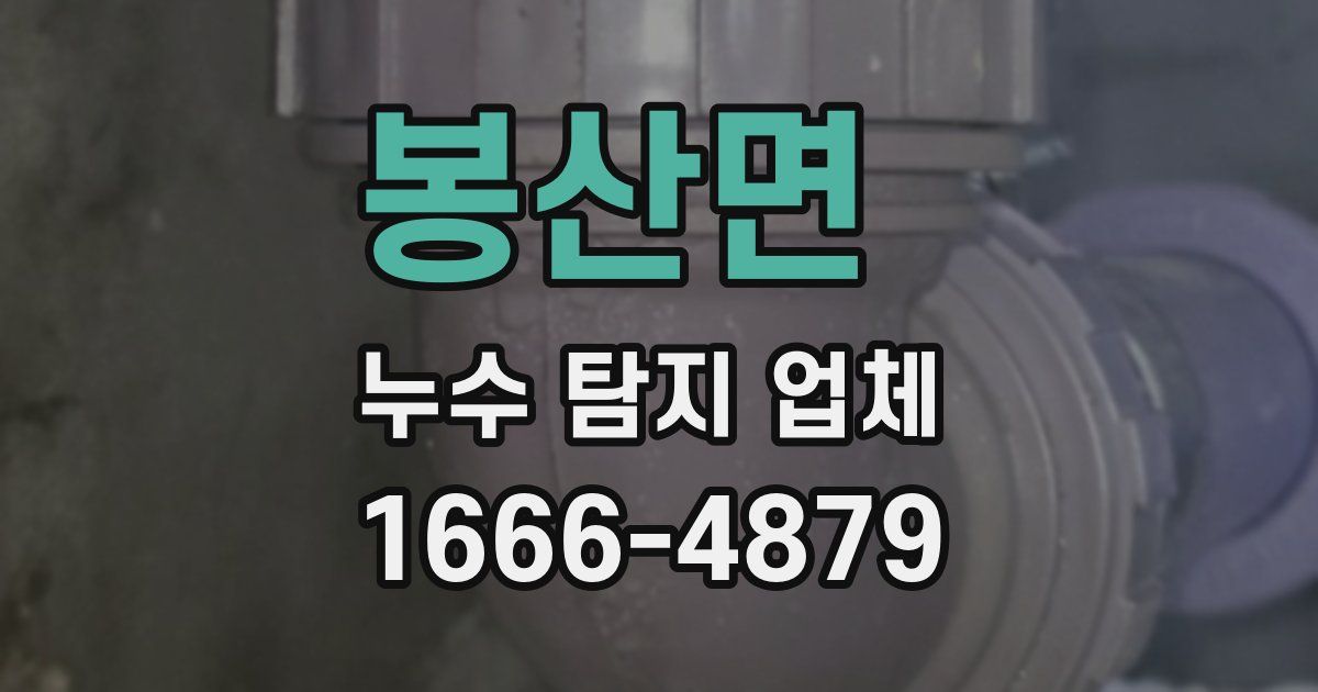 봉산면 누수 탐지 업체