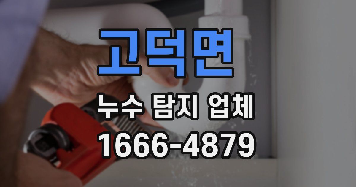 고덕면 누수 탐지 업체