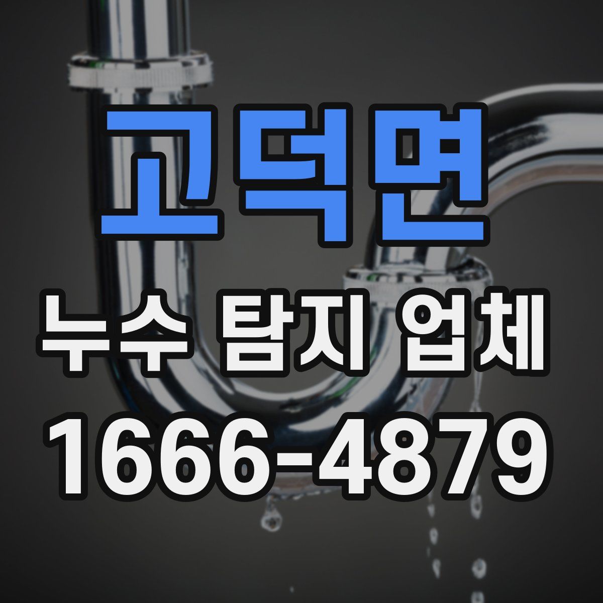 고덕면 누수 탐지 업체