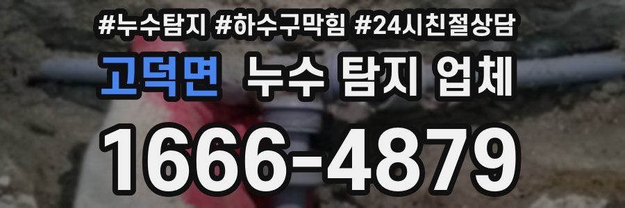 고덕면 누수 탐지 업체