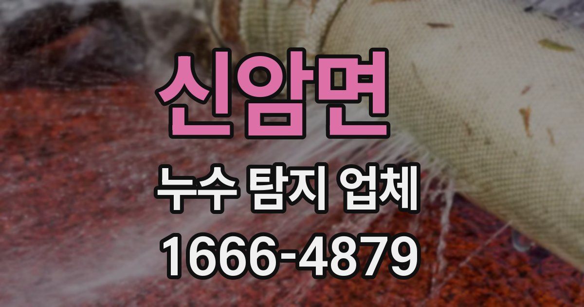 신암면 누수 탐지 업체