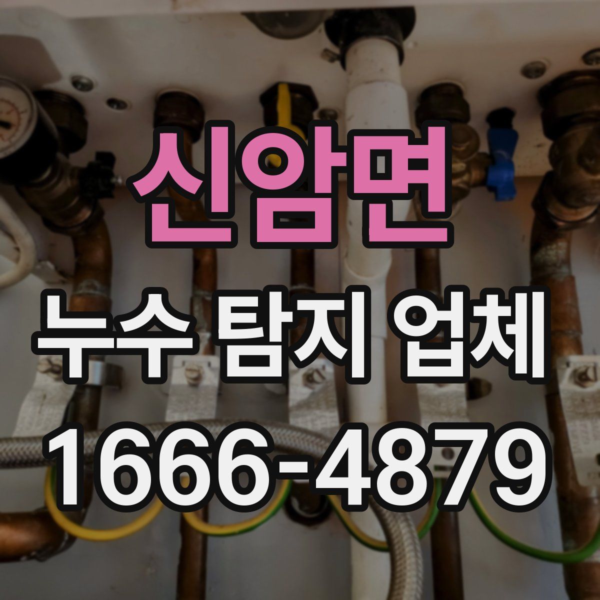 신암면 누수 탐지 업체