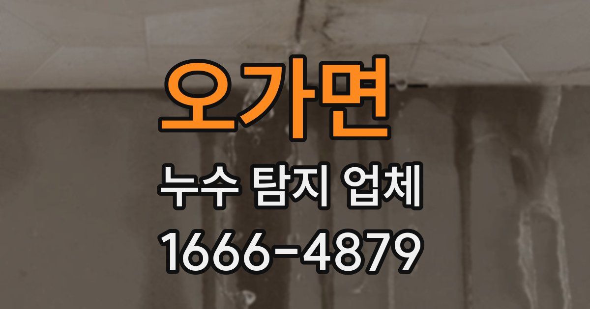 오가면 누수 탐지 업체
