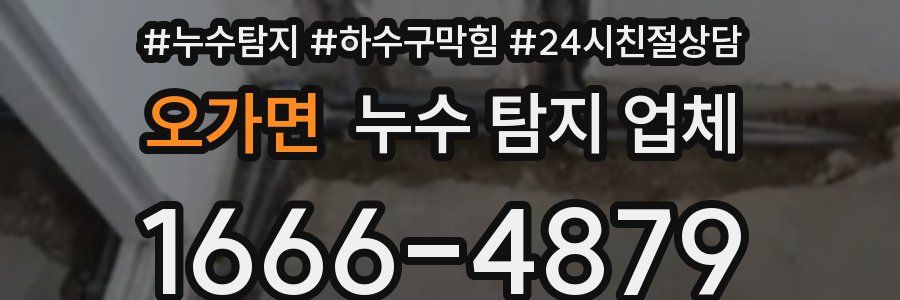 오가면 누수 탐지 업체