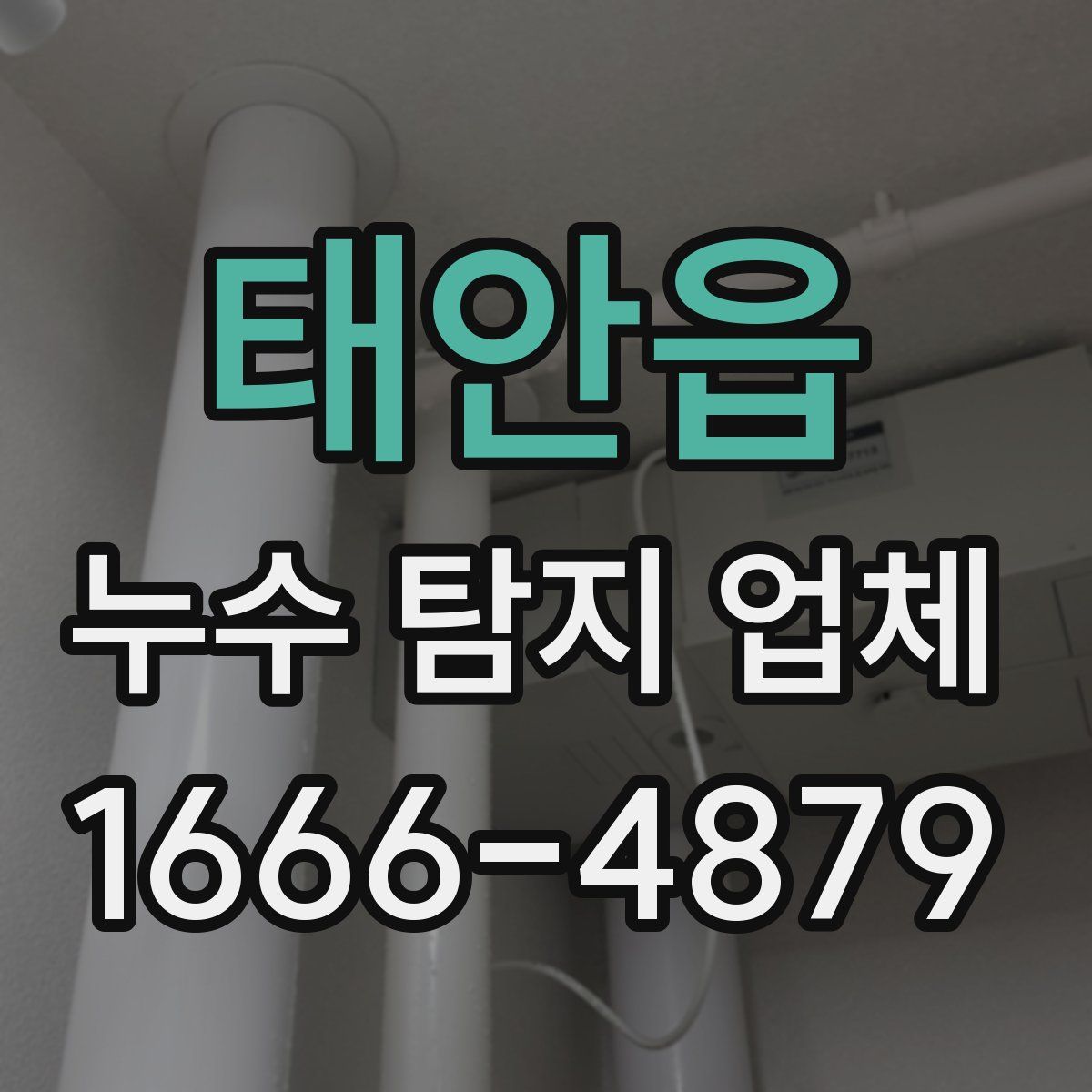 태안읍 누수 탐지 업체