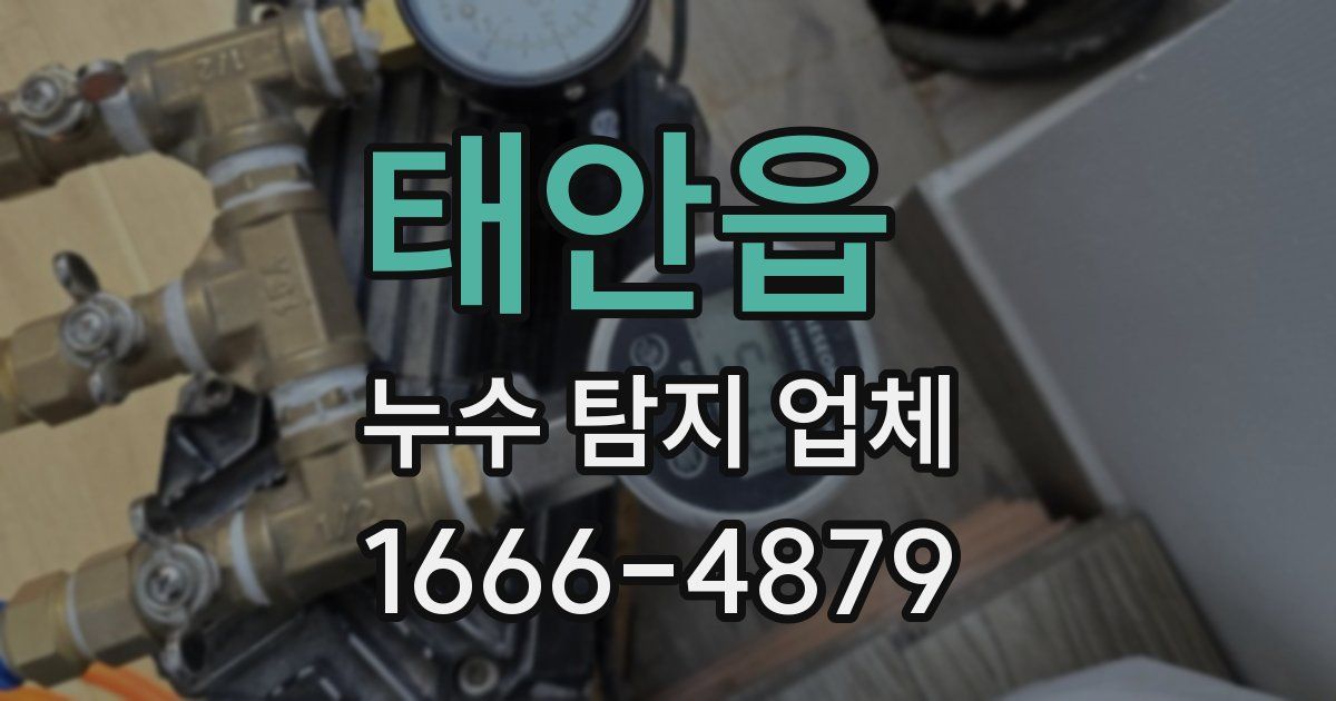 태안읍 누수 탐지 업체