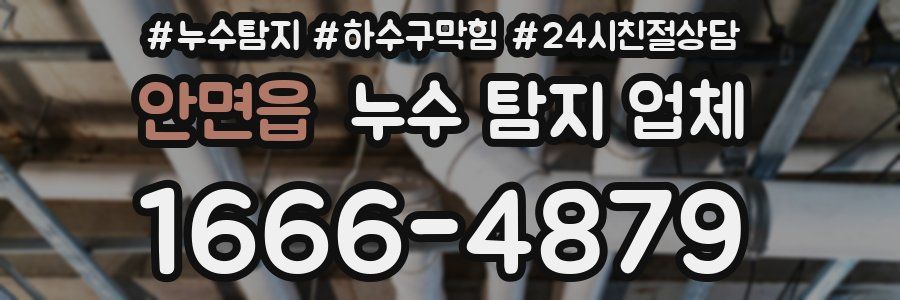 안면읍 누수 탐지 업체
