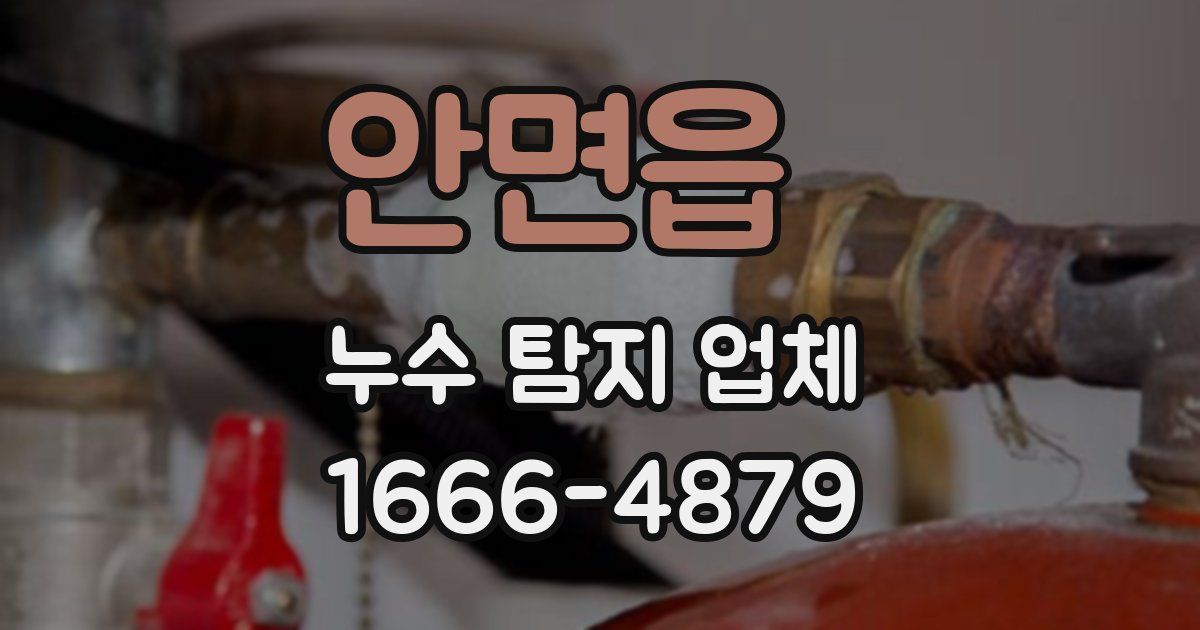 안면읍 누수 탐지 업체