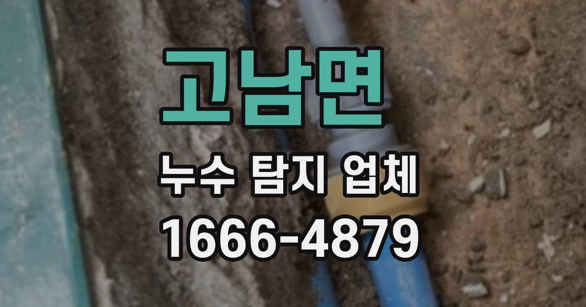 고남면 누수 탐지 업체