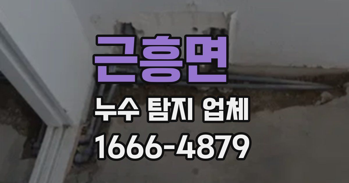 근흥면 누수 탐지 업체