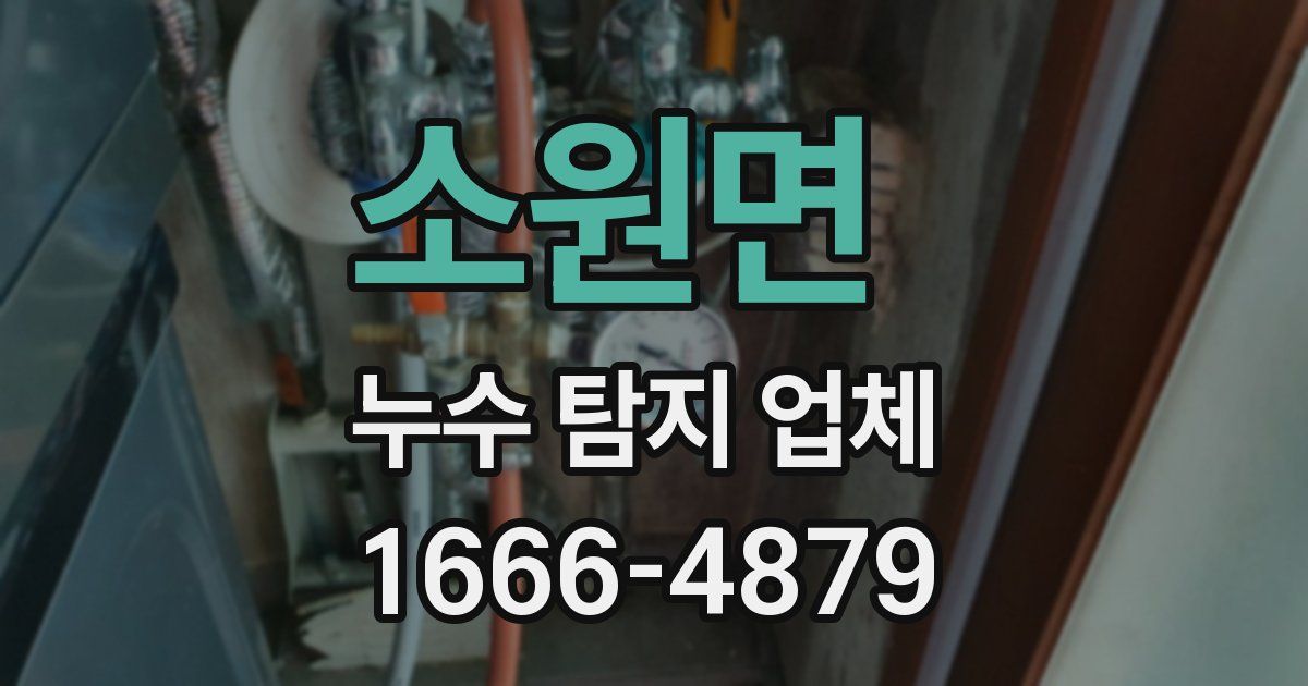 소원면 누수 탐지 업체