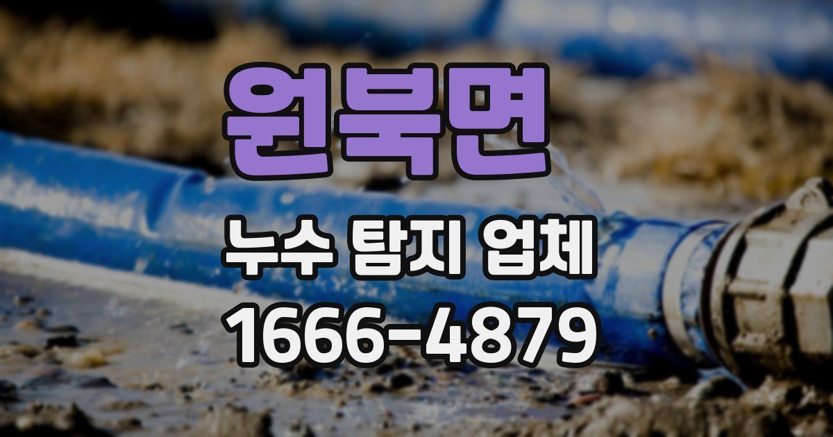 원북면 누수 탐지 업체