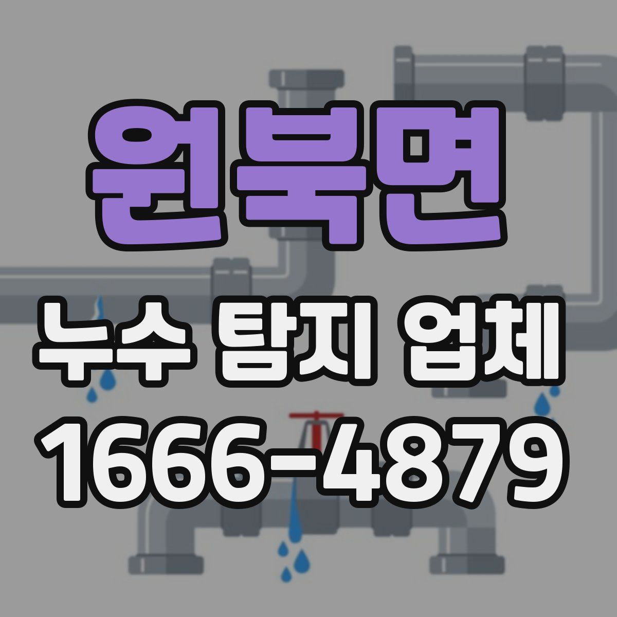 원북면 누수 탐지 업체
