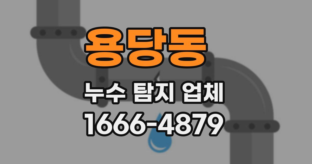 용당동 누수 탐지 업체