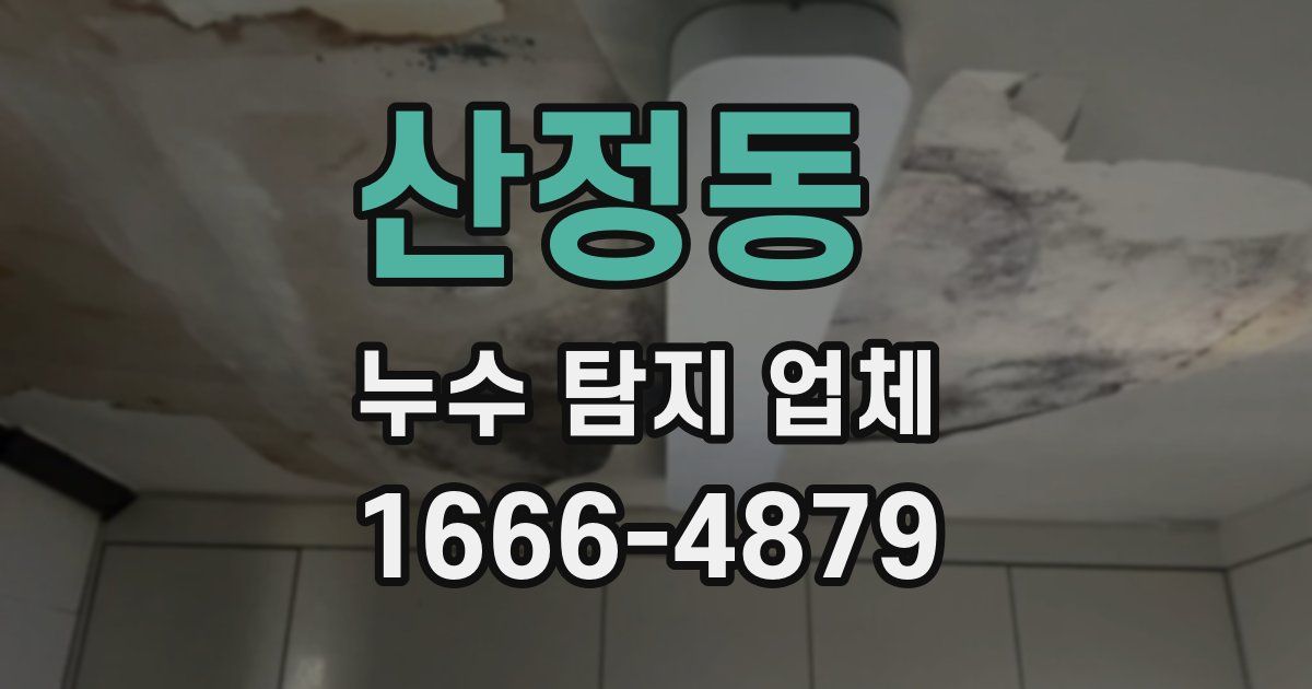 산정동 누수 탐지 업체