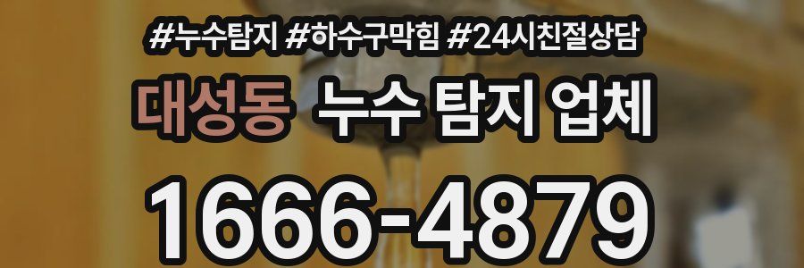 대성동 누수 탐지 업체