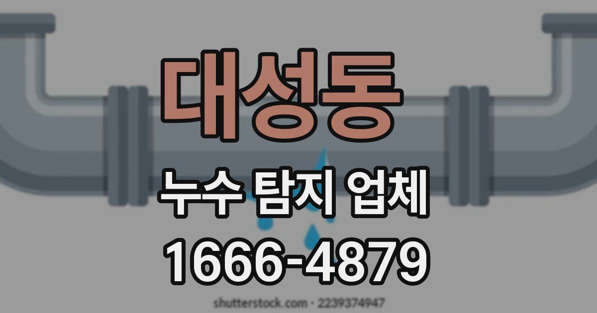 대성동 누수 탐지 업체