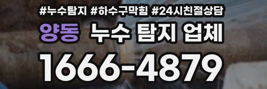 양동 누수 탐지 업체