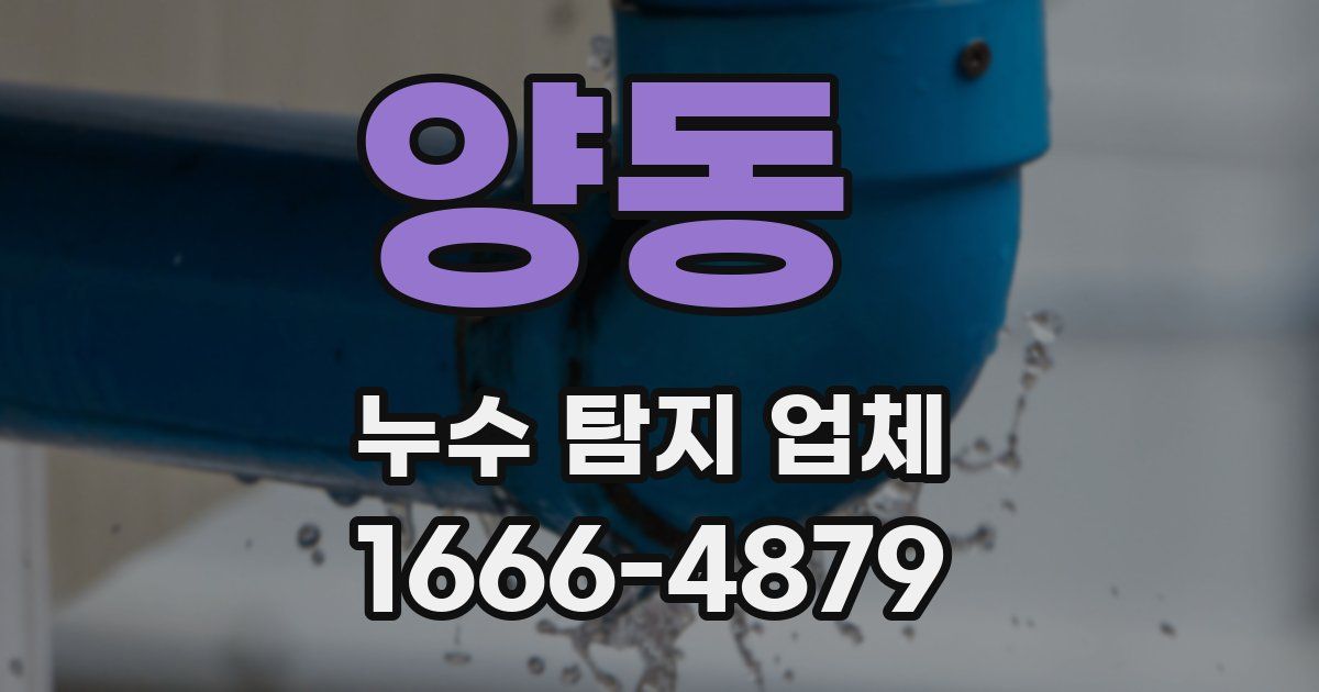 양동 누수 탐지 업체