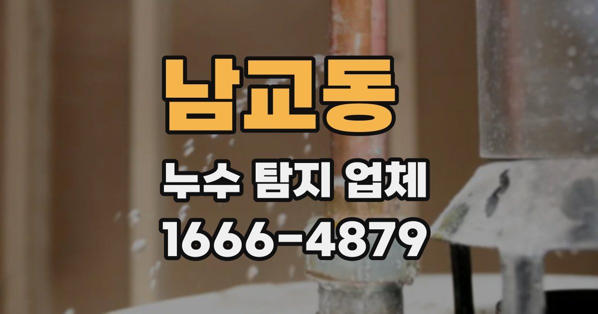 남교동 누수 탐지 업체