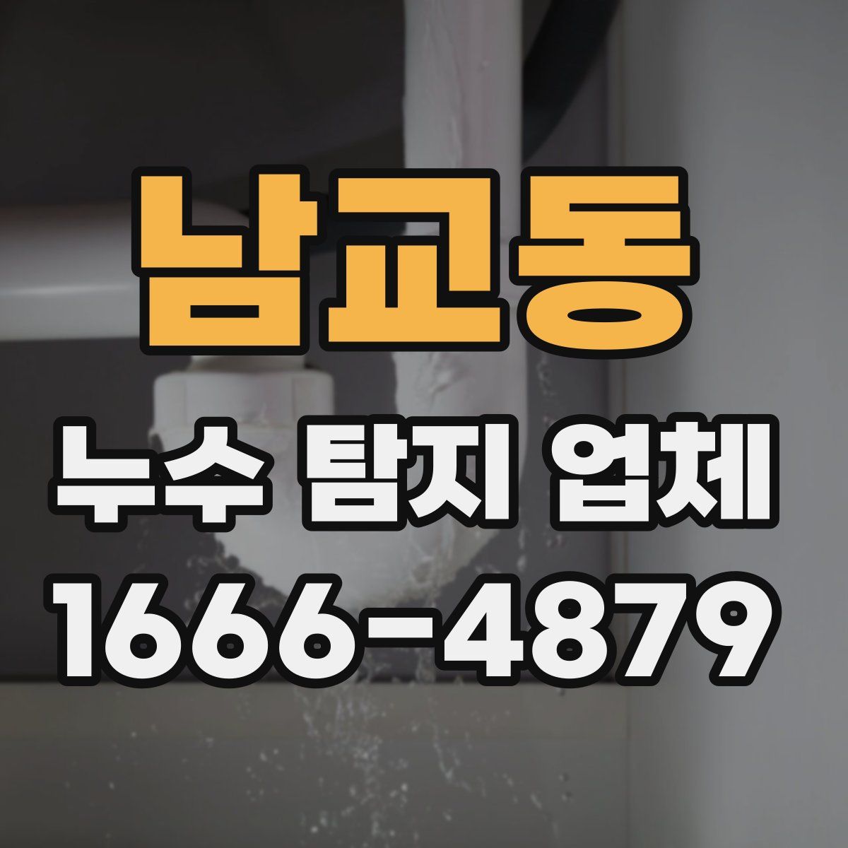 남교동 누수 탐지 업체