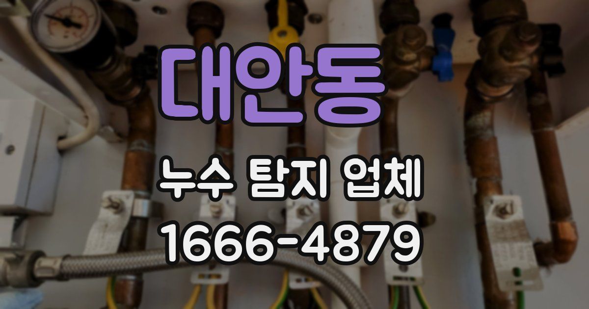 대안동 누수 탐지 업체