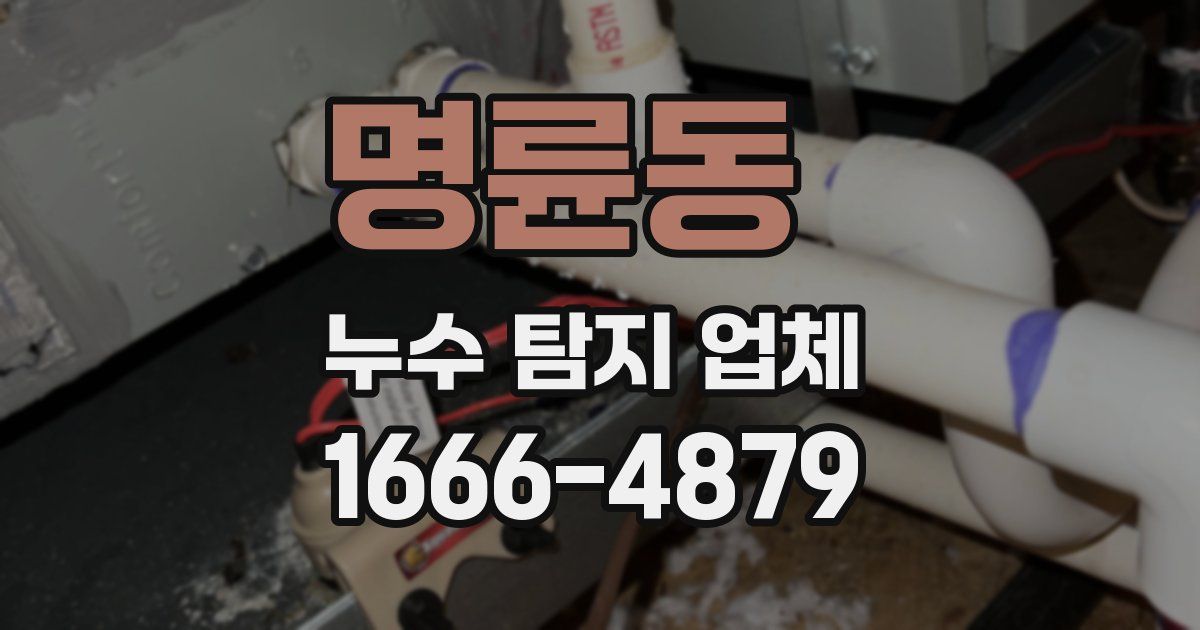 명륜동 누수 탐지 업체
