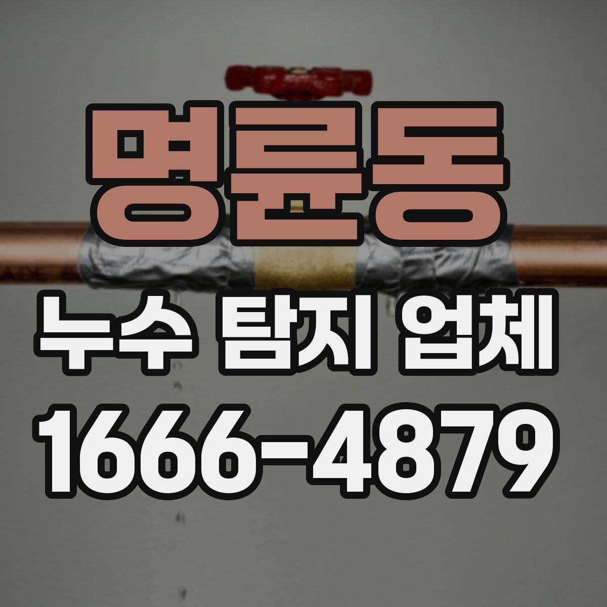 명륜동 누수 탐지 업체