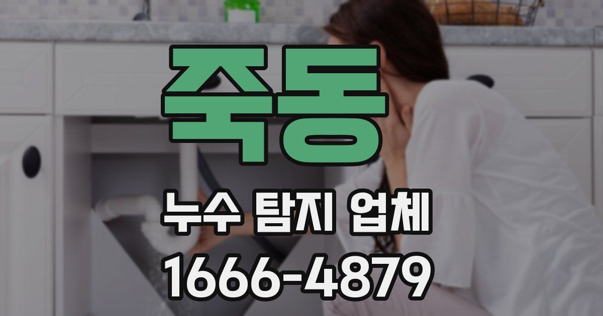 죽동 누수 탐지 업체