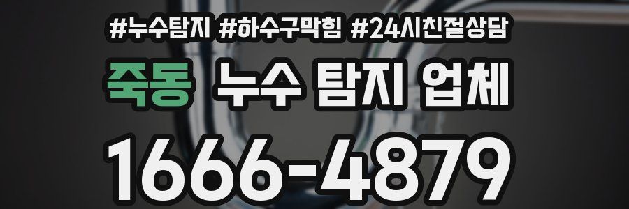 죽동 누수 탐지 업체