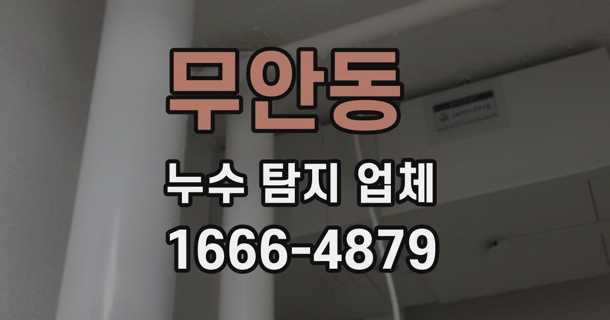 무안동 누수 탐지 업체
