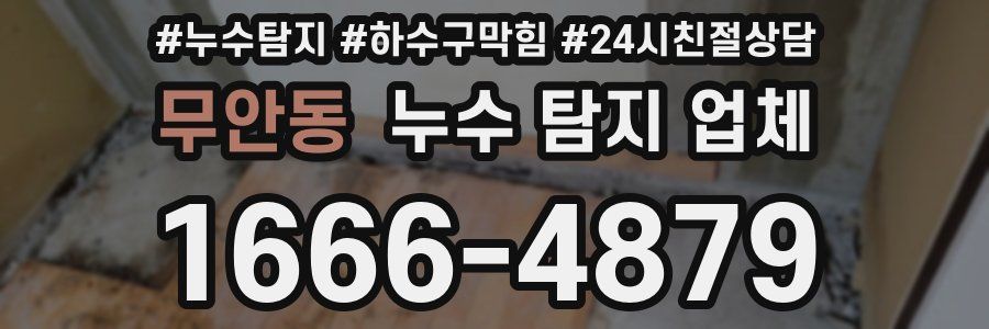 무안동 누수 탐지 업체
